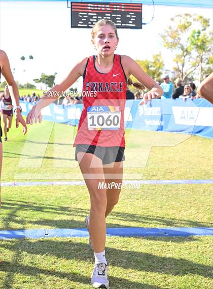 Thumbnail 1 in AIA Division I Championships photogallery.