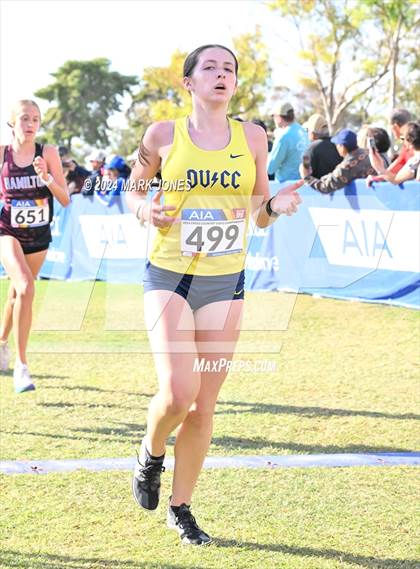 Thumbnail 1 in AIA Division I Championships photogallery.