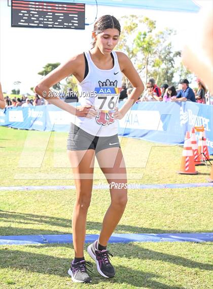 Thumbnail 2 in AIA Division I Championships photogallery.
