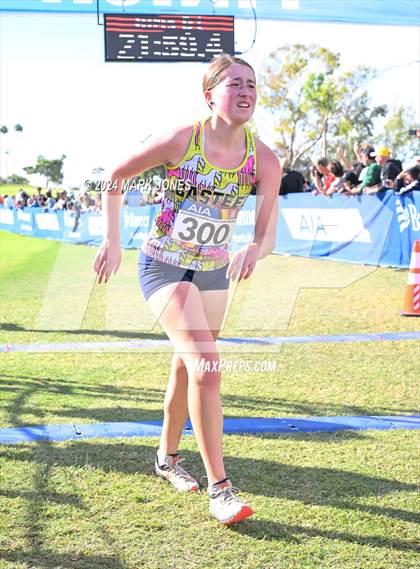 Thumbnail 2 in AIA Division I Championships photogallery.