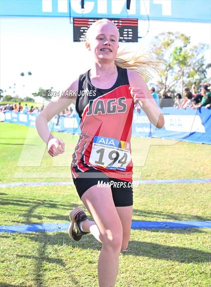 Thumbnail 1 in AIA Division I Championships photogallery.