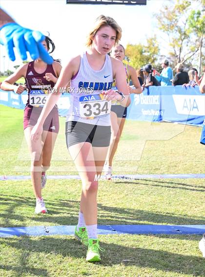 Thumbnail 3 in AIA Division I Championships photogallery.