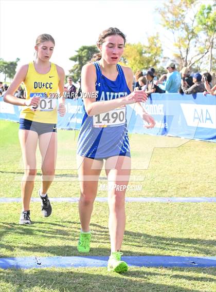 Thumbnail 3 in AIA Division I Championships photogallery.