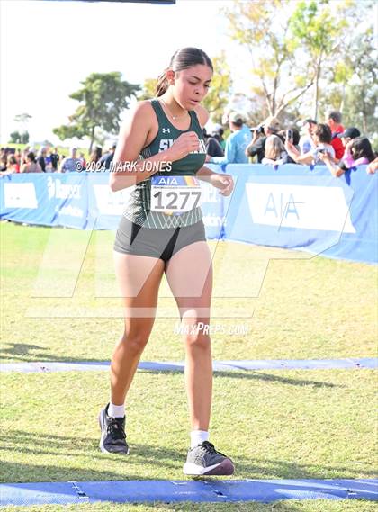 Thumbnail 2 in AIA Division I Championships photogallery.