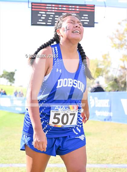 Thumbnail 2 in AIA Division I Championships photogallery.