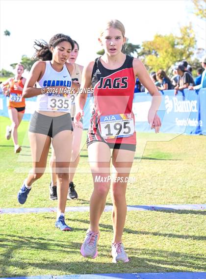 Thumbnail 2 in AIA Division I Championships photogallery.
