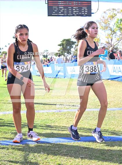 Thumbnail 1 in AIA Division I Championships photogallery.