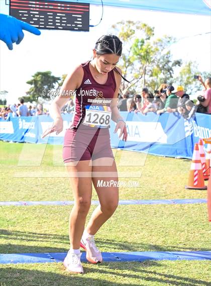 Thumbnail 1 in AIA Division I Championships photogallery.