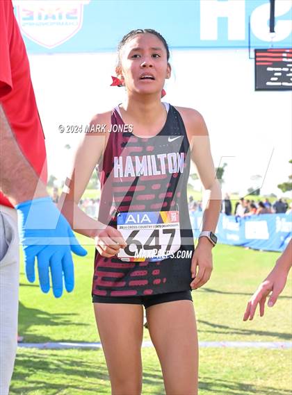 Thumbnail 2 in AIA Division I Championships photogallery.