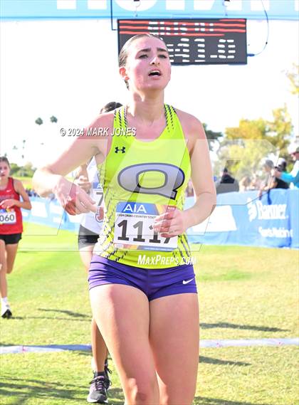 Thumbnail 1 in AIA Division I Championships photogallery.