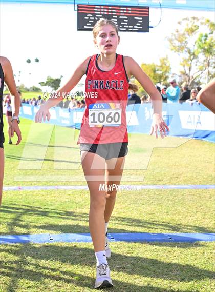 Thumbnail 3 in AIA Division I Championships photogallery.
