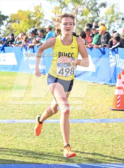 Thumbnail 2 in AIA Division I Championships photogallery.