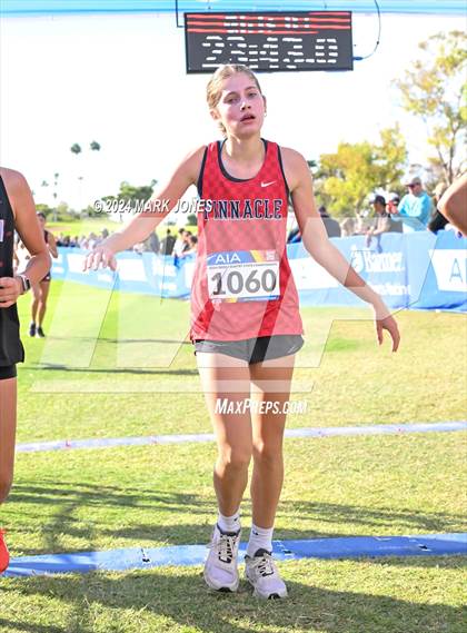 Thumbnail 2 in AIA Division I Championships photogallery.