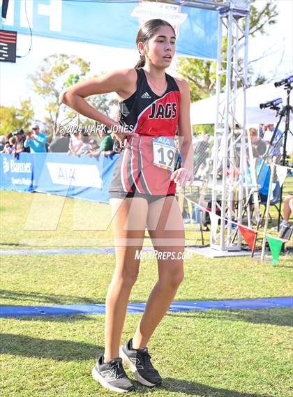 Thumbnail 3 in AIA Division I Championships photogallery.