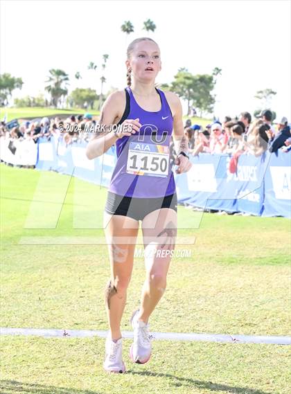 Thumbnail 3 in AIA Division I Championships photogallery.