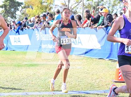 Thumbnail 2 in AIA Division I Championships photogallery.