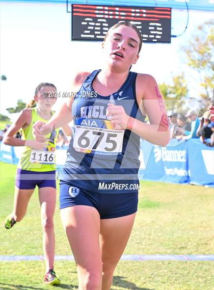Thumbnail 3 in AIA Division I Championships photogallery.