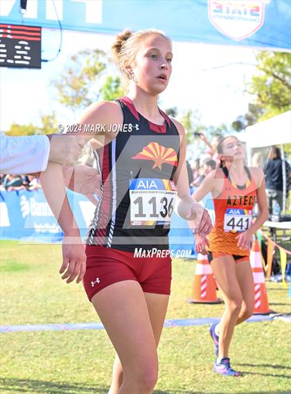 Thumbnail 3 in AIA Division I Championships photogallery.