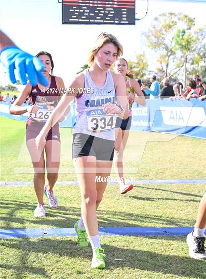 Thumbnail 1 in AIA Division I Championships photogallery.