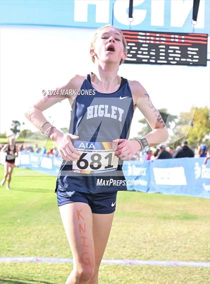 Thumbnail 1 in AIA Division I Championships photogallery.