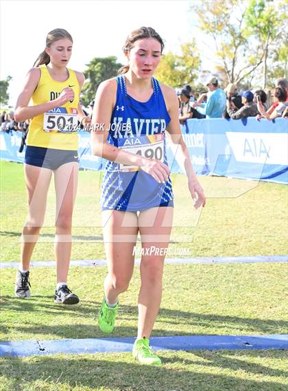 Thumbnail 1 in AIA Division I Championships photogallery.
