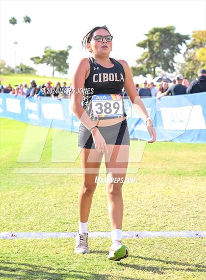 Thumbnail 2 in AIA Division I Championships photogallery.