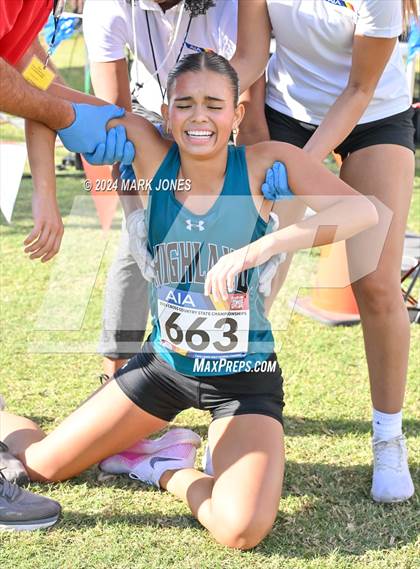 Thumbnail 3 in AIA Division I Championships photogallery.