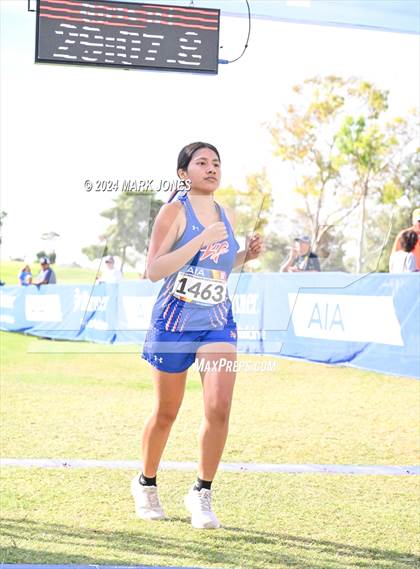 Thumbnail 2 in AIA Division I Championships photogallery.