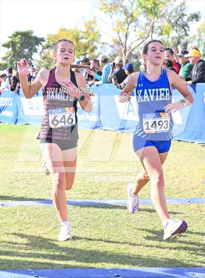 Thumbnail 3 in AIA Division I Championships photogallery.