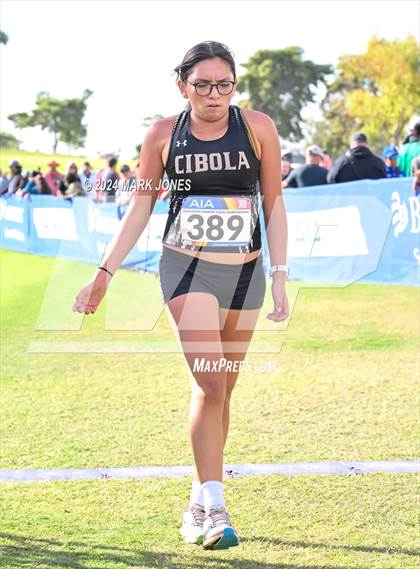 Thumbnail 3 in AIA Division I Championships photogallery.