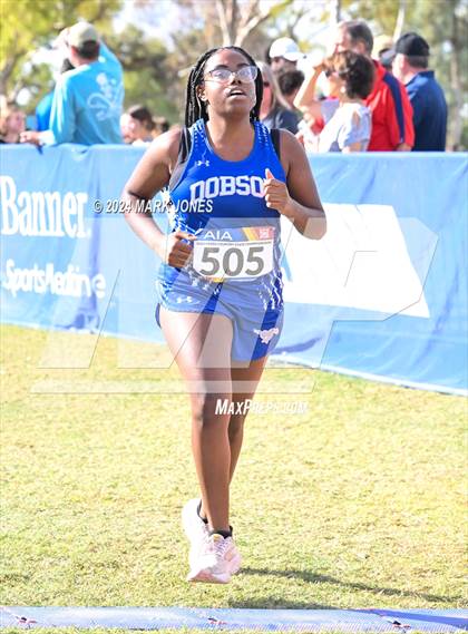 Thumbnail 1 in AIA Division I Championships photogallery.