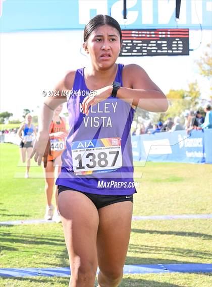 Thumbnail 2 in AIA Division I Championships photogallery.