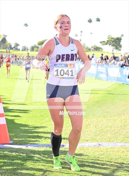 Thumbnail 1 in AIA Division I Championships photogallery.