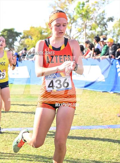Thumbnail 3 in AIA Division I Championships photogallery.
