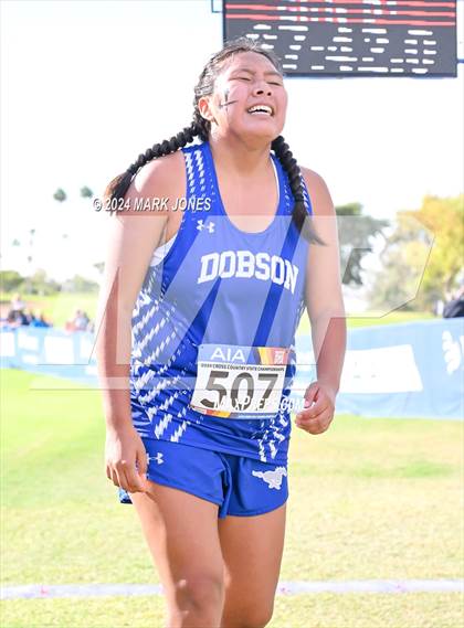 Thumbnail 2 in AIA Division I Championships photogallery.