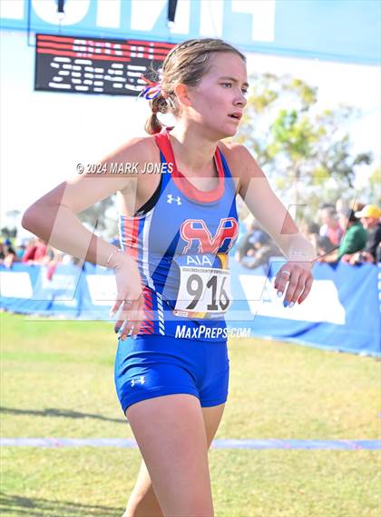Thumbnail 2 in AIA Division I Championships photogallery.