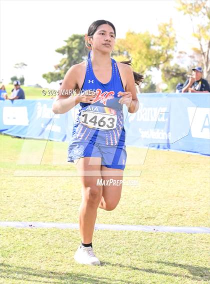 Thumbnail 1 in AIA Division I Championships photogallery.