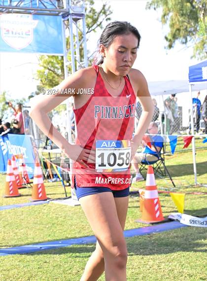 Thumbnail 3 in AIA Division I Championships photogallery.