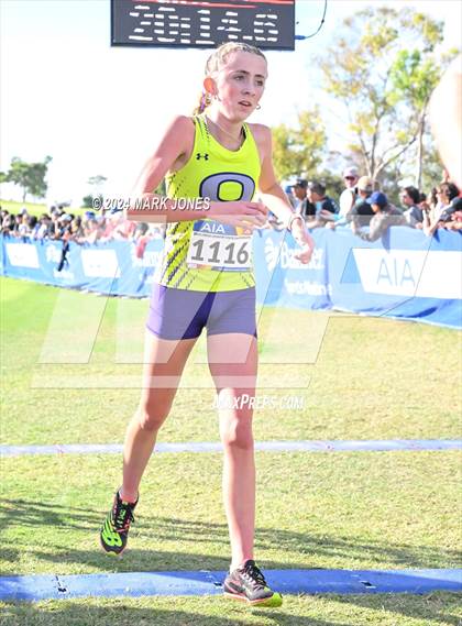Thumbnail 1 in AIA Division I Championships photogallery.