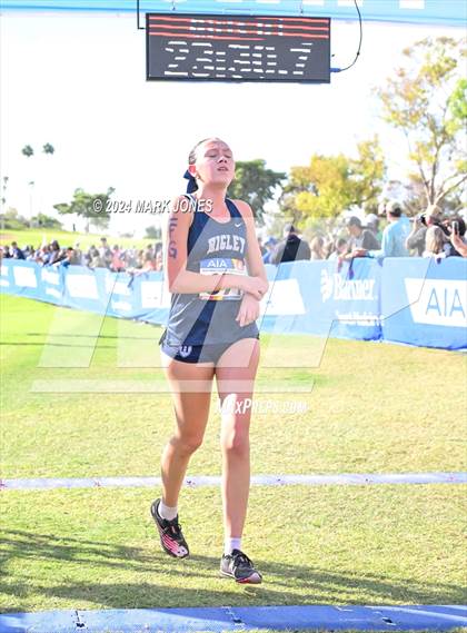 Thumbnail 3 in AIA Division I Championships photogallery.