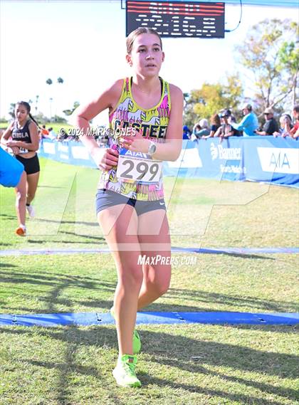 Thumbnail 3 in AIA Division I Championships photogallery.
