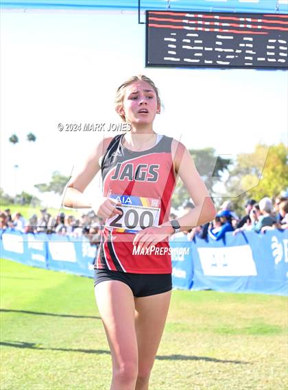 Thumbnail 1 in AIA Division I Championships photogallery.