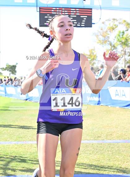 Thumbnail 1 in AIA Division I Championships photogallery.
