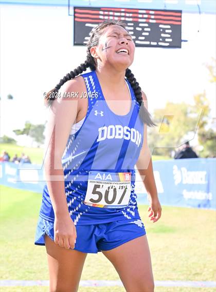 Thumbnail 1 in AIA Division I Championships photogallery.