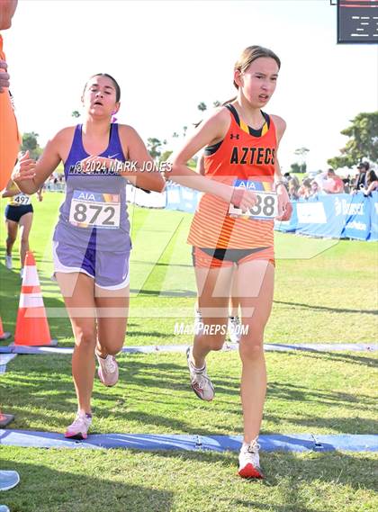 Thumbnail 2 in AIA Division I Championships photogallery.