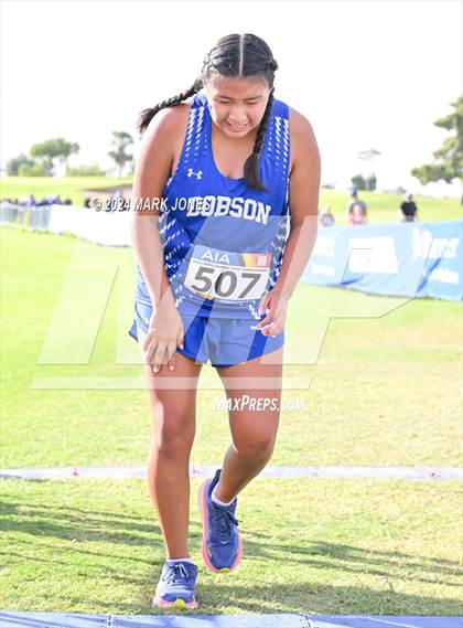 Thumbnail 1 in AIA Division I Championships photogallery.