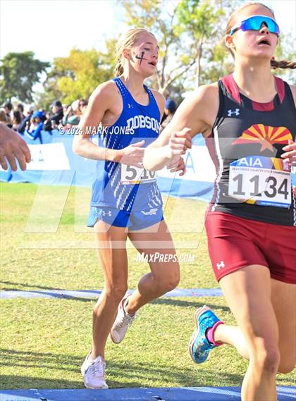 Thumbnail 3 in AIA Division I Championships photogallery.