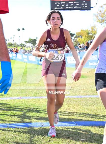 Thumbnail 1 in AIA Division I Championships photogallery.
