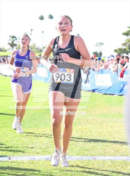 Thumbnail 2 in AIA Division I Championships photogallery.