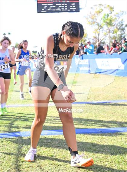 Thumbnail 2 in AIA Division I Championships photogallery.